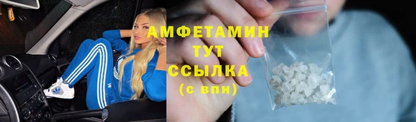 индика Вязьма